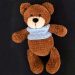 PDF Crochet Plush Teddy Bear Frank Amigurumi Free Pattern 1 75x75