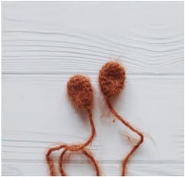 Crochet Cow PDF Amigurumi Free Pattern Ears