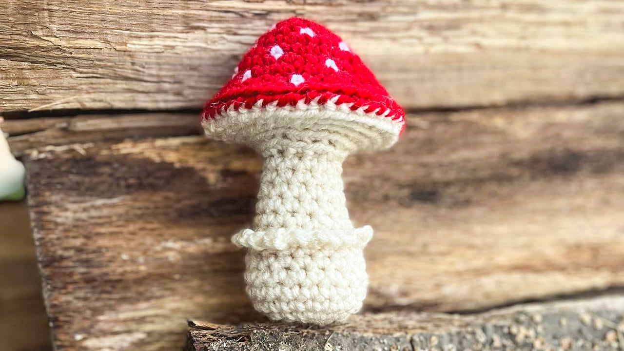 Crochet Mushroom PDF Amigurumi Free Pattern