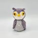 Crochet Owl Daphne Amigurumi Free PDF Pattern 2 75x75